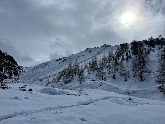 Valanga di neve bagnata a debole coesione sulla morena dietro la malga Melago in Vallelunga. (Foto: CNSAS Melago, Armin Plangger, 25.03.2023)