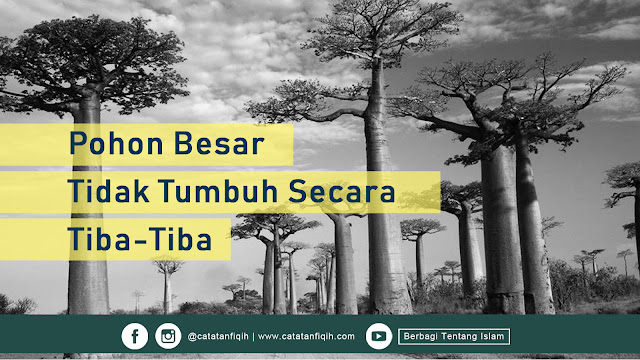 Pohon Besar Tidak Tumbuh Secara Tiba-Tiba