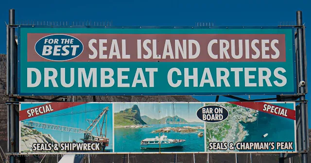 Seal Island Cruises  Hout Bay Drumbeat Charters Cape Town