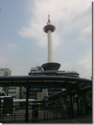 IMG_20130725_100552