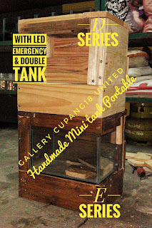 JUAL CUPANG HIAS BERKUALITAS ANEKA JENIS CUPANG: PRODUK