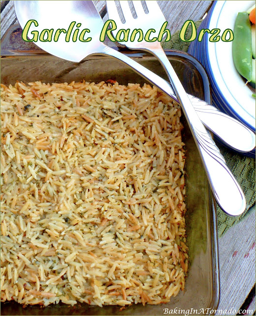 Garlic Ranch Orzo, a side dish on its own, or add protein and a vegetable and make it a meal. | recipe developed by www.BakingInATornado.com | #recipe #pasta