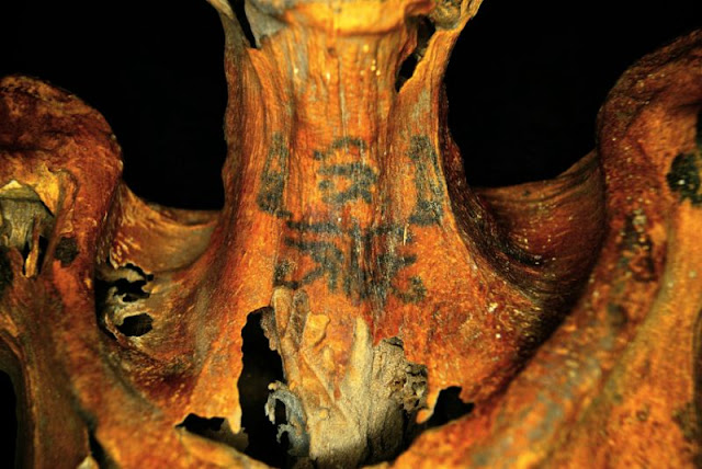  Four years later on its regain inwards Deir El For You Information - 3,000-year-old tattooed mummy belonged to laissez passer on official or elite woman, studies reveal