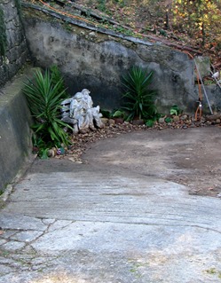 Garden Christmas 08