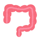 内臓のアイコン（大腸）