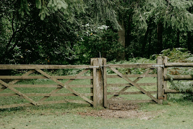 A rustic wooden gate within a crisscrossed fence stands at the forefront of a dispute on property boundaries, needing to be surveyed. The gate is set against a backdrop of dense green foliage, highlighting the contrast between the structured human-made barrier and the natural forest setting.