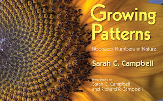 Cover of "Growing Patterns" book