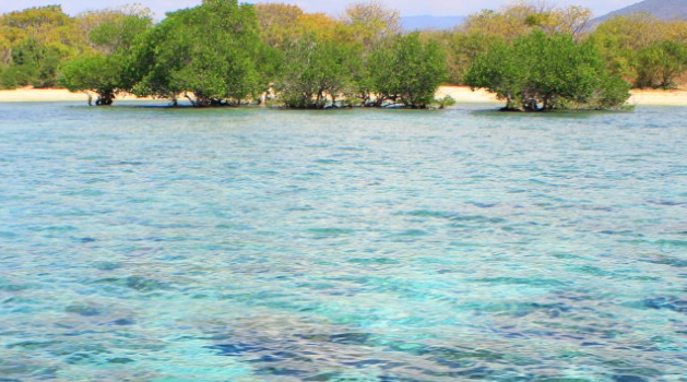 Pulau Namo di Kabupaten Sumbawa, Provinsi Nusa Tenggara Barat