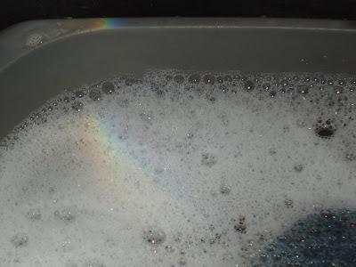 A Rainbow in the Dish Water