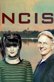 Watch NCIS Season 14 Episode 22 Online