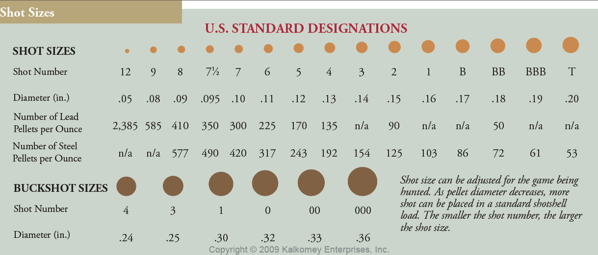 Ammo and Gun Collector: Shotgun Shell Shot Size Comparison Chart Actual size