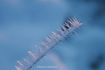 macro_20120125_is3
