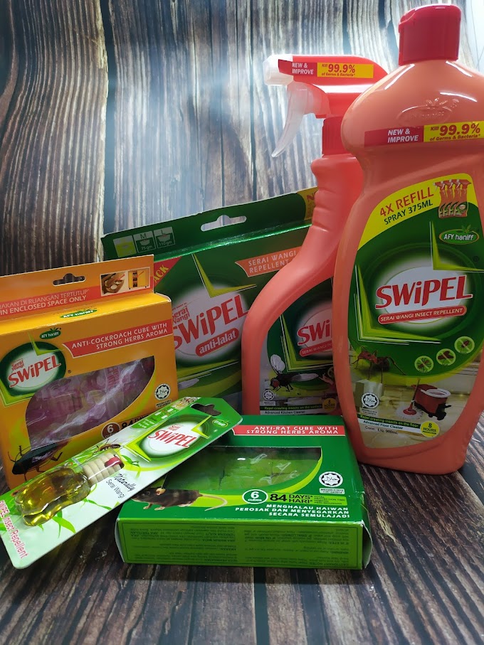 Swipel : Musuh Serangga Perosak di Rumah Anda