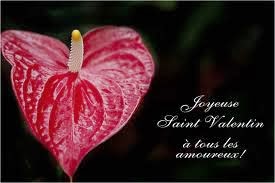 Proverbe d'amour saint valentin