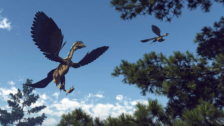 Archaeopteryx - Nenek Moyang Burung