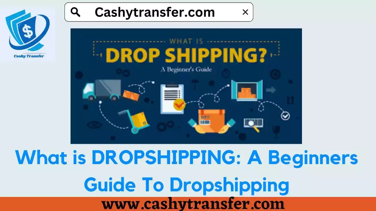 What is DROPSHIPPING