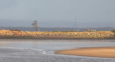 Sand banks at Solway Firth near Gretna, dumfries and galloway, scotland