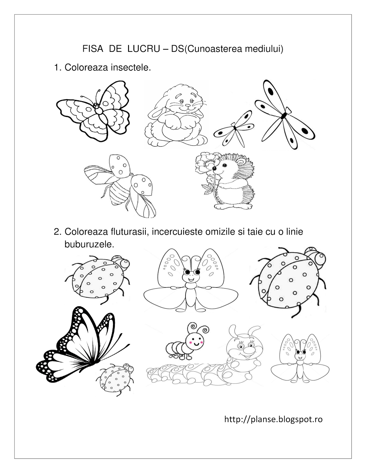 Planse de colorat si fise pentru copii: DS - FISE de lucru cu Insecte - Cunoasterea Mediului