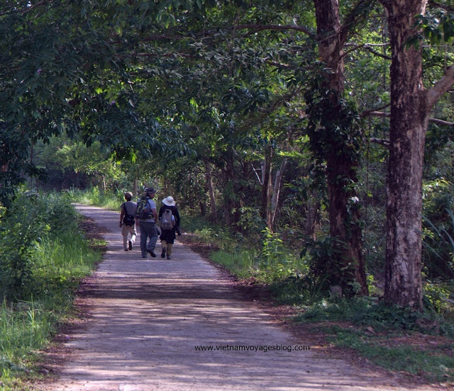 Trekking đi bộ trong rừng Nam Cát Tiên