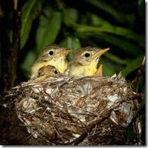 clip_image008