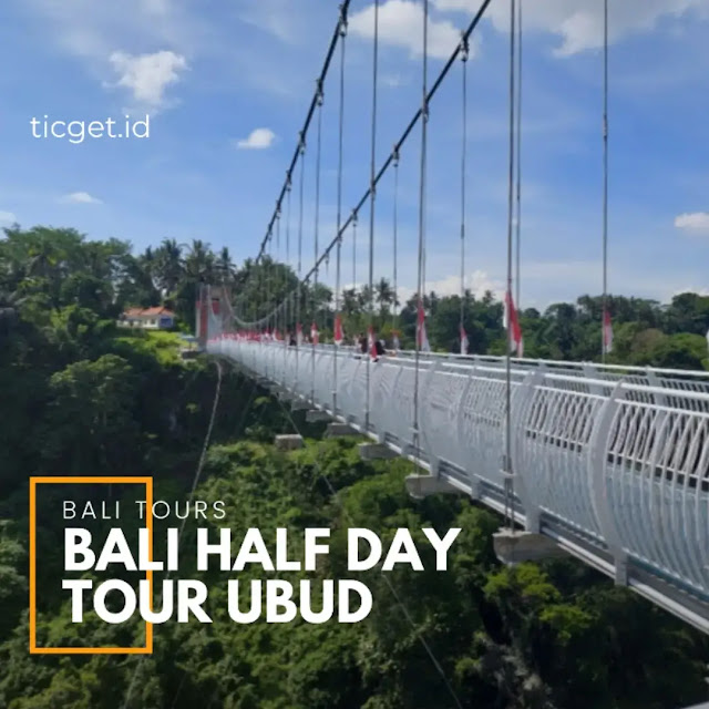 Bali Half Day Glass Bridge & Butterfly Park Tour