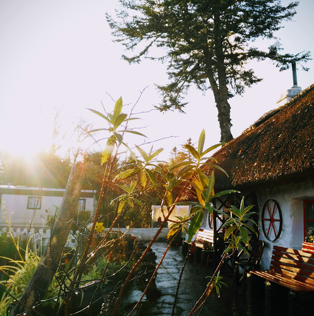 thatched cottage, sunlight, garden, winter