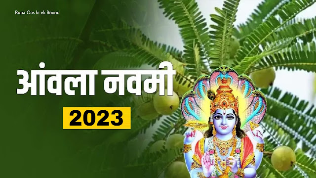 अक्षय नवमी (आंवला नवमी) 2023