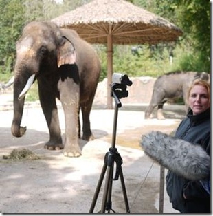 koshik_gajah_asia_boleh_bercakap_2