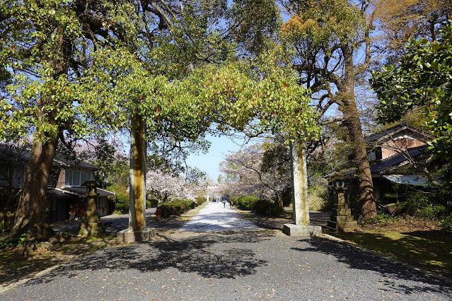 鳥取県西伯郡大山町名和 名和神社