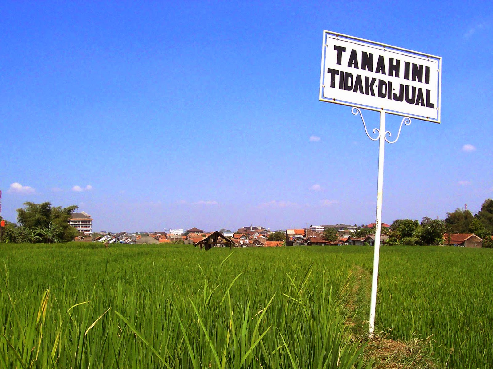 Contoh Surat Jual Beli Tanah Warisan - Contoh Surat Perjanjian Jual Beli Tanah PDF & Doc | Lamudi : Hampir sebagian besar orang di daerah pedesaan mendapatkan tanah warisan yang sangat luas dari orang tua mereka.