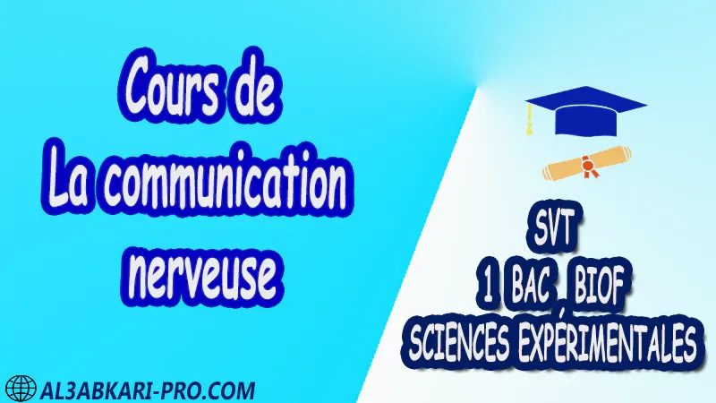 Cours de La communication nerveuse - SVT 1 ère Bac Sciences Expérimentales biof PDF Sciences de la Vie et de la Terre SVT 1 ère Bac Sciences Expérimentales biof Cours résumé devoirs corrigés exercice corrigé Documents Activités Fiche pédagogique Devoir de semestre 1 Devoirs de semestre 2 Exercices corrigés