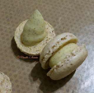 Macarons cacahuète, noisette, noix de pécan et noix de coco