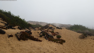 BEACH / Praia Foz dos Ouriços, Almograve, Portugal