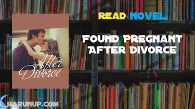 Read Found Pregnant After Divorce Novel Full Episode