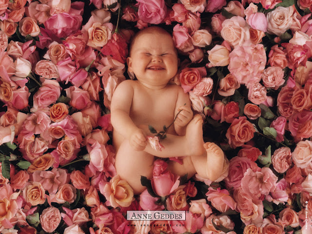 Baby Pictures Anne Geddes Photos