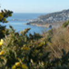 View album