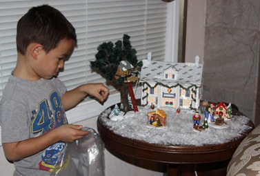 2010-12-03_013