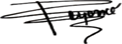 Beyonc_Assinatura_Signature