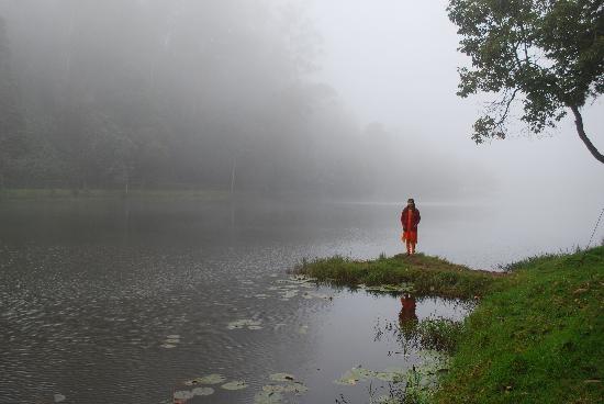 kodaikanal lake- Perfect Honeymoon Destination in south India