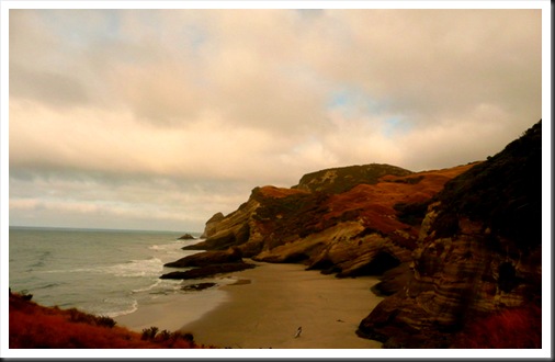 Golden Bay_Fletchers beach (7)
