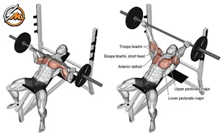 6 Exercises to Target Your Upper Pecs and Build a Bigger Chest