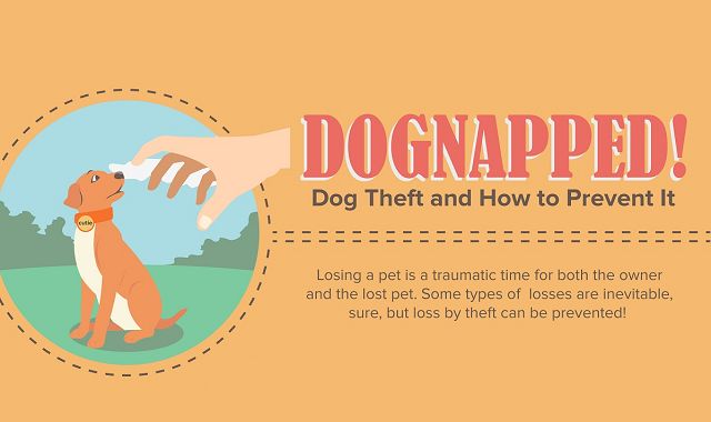 Image: Dognapped: Dog Theft and How to Prevent It