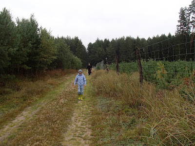 grzyby 2017, grzyby we wrześniu, grzyby na Mazurach, zlot grupy "Grzyby, grzybiarze, grzybobranie"