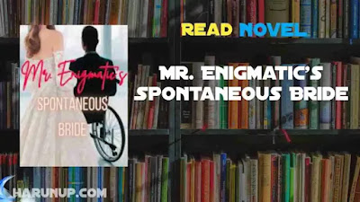 Mr. Enigmatic's Spontaneous Bride Novel