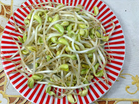 Soy sprouts