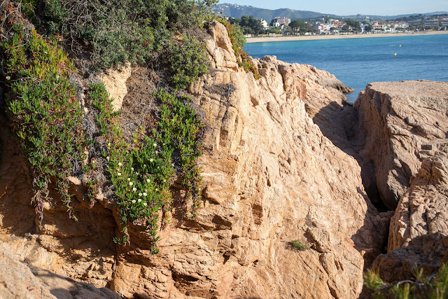 Прогулка вдоль Cami de Ronda de Sant Feliu de Guixols a Platja San Pol