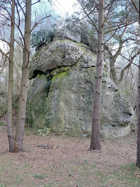 Leśna skała zwana Borowikiem