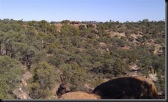 IMAG0651 (Small)