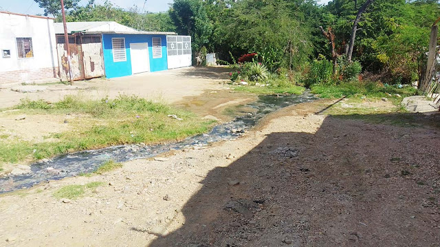 CLOACAS SIGUEN CAUSANDO ESTRAGOS EN CALLES DE CARORA