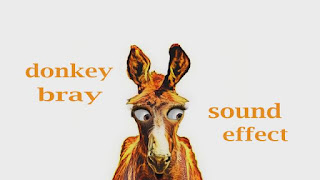 learn donkey sounds